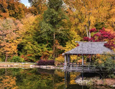 Montgomery County Parks streamlines multi-step business process with ProjectDox